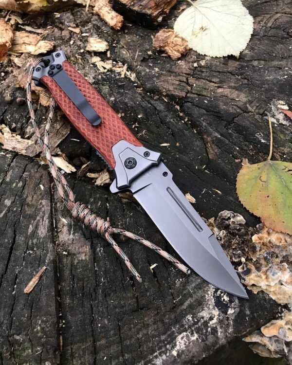 Browning - Image 3